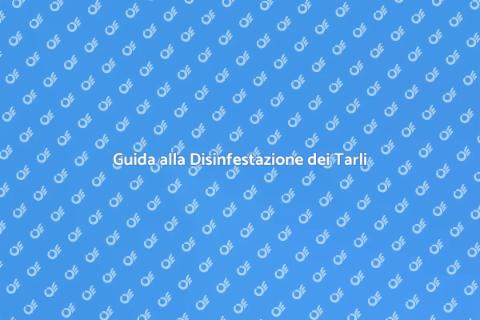 Disinfestazione Tarli del Legno