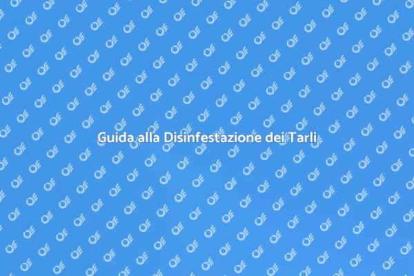 Combatti i Tarli: La Tua Guida
