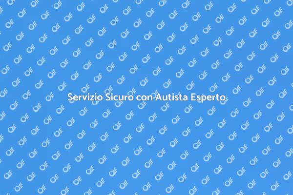 Sicurezza e Comfort con Autista
