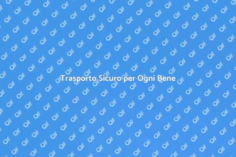 Trasporto Internazionale Specializzato