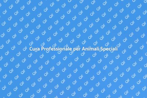 Pet Sitting per Animali Speciali