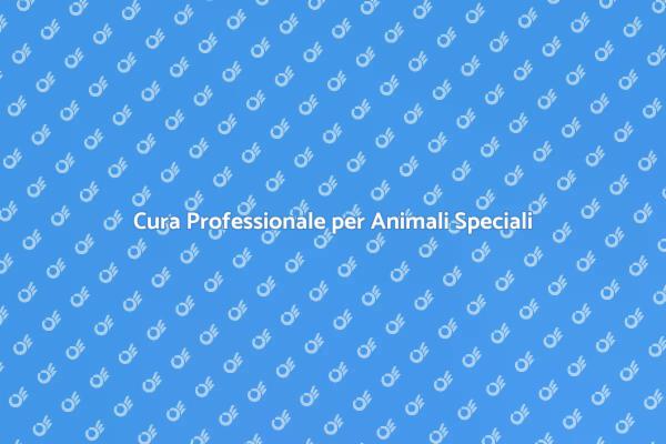 Pet Sitting: Assistenza per Animali Speciali