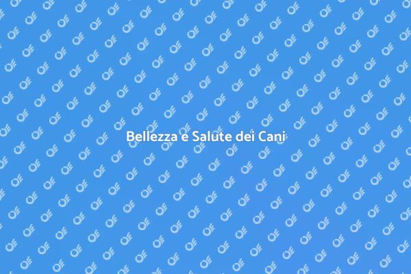 L'Arte della Toelettatura Canina