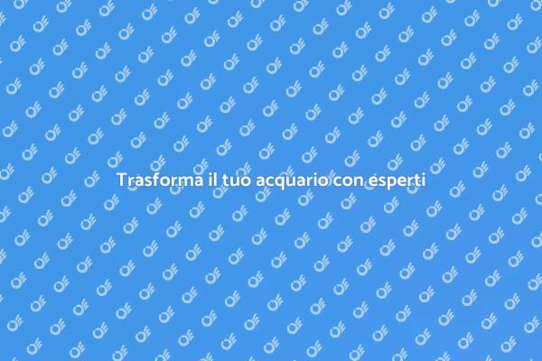 Il tuo acquario da sogno realizzato