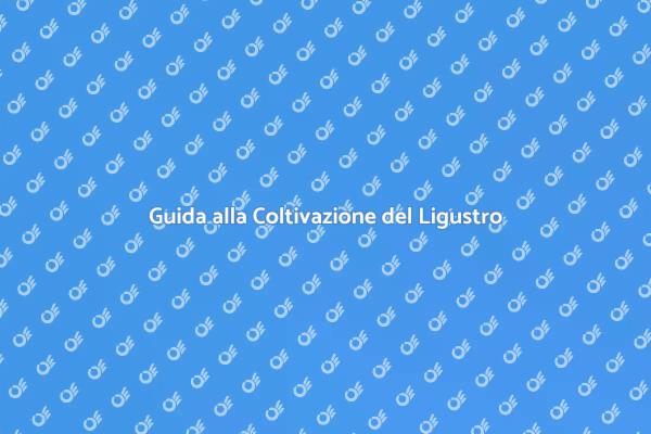 Come Coltivare una Siepe di Ligustro