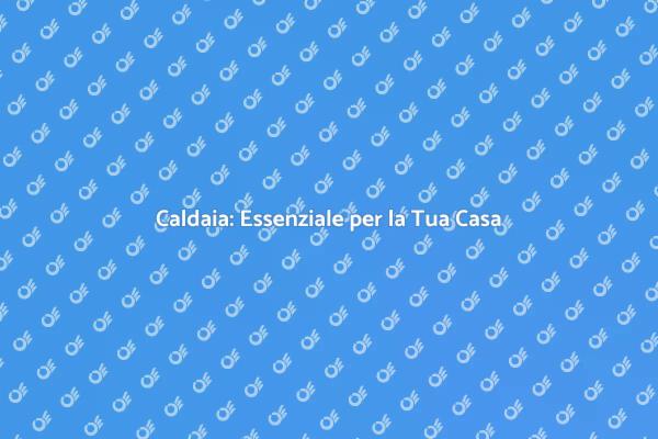 Sicurezza e Efficienza della Caldaia
