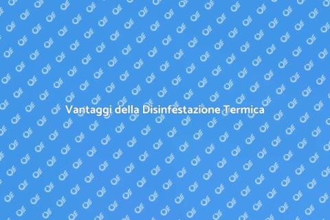 Disinfestazione Termica: Vantaggi per Casa