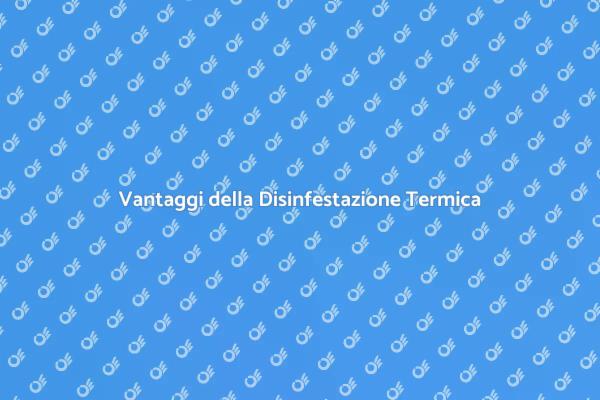 Disinfestazione Termica: Proteggi la Tua Casa