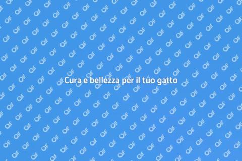 Toelettatura completa per gatti