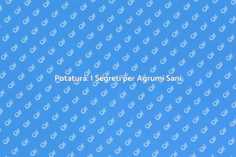 Potatura Agrumi: Bellezza e Salute