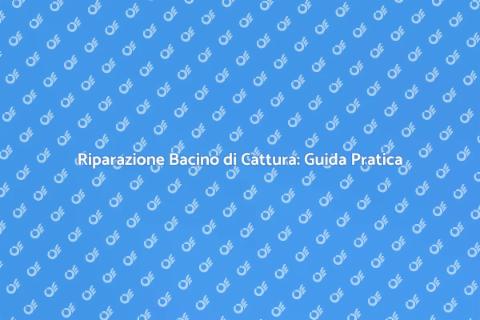 Riparazione Bacino di Cattura Essenziale