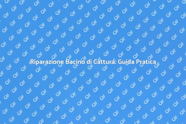 Guida alla Riparazione del Bacino di Cattura