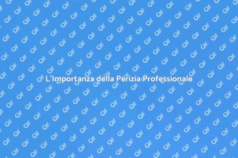 Perizia Professionale: Perché È Fondamentale