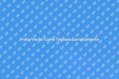 Tagliare il Prato per un Giardino Perfetto
