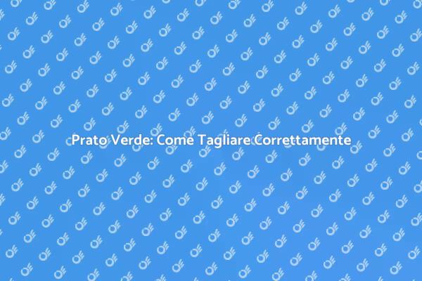 Manutenzione del Prato: I Nostri Consigli