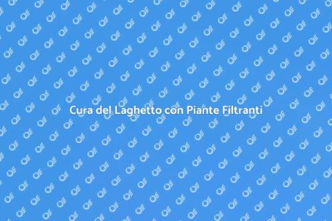 Manutenzione Laghetto con Piante Filtranti