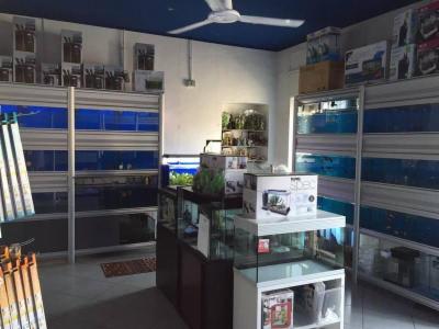 Aquarium Life  - Foto 6