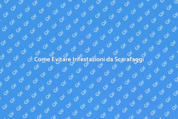 Proteggi i Tuoi Locali dagli Scarafaggi