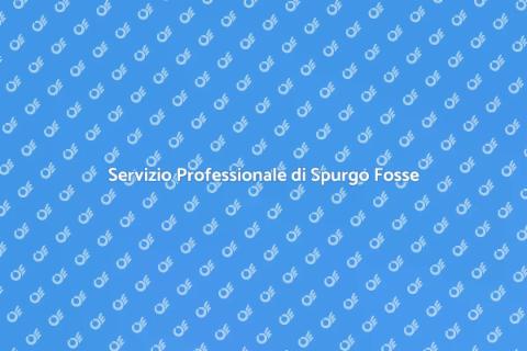 Spurgo Fosse Biologiche per Industrie