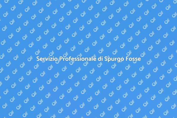 Gestione Rifiuti con Spurgo Efficace