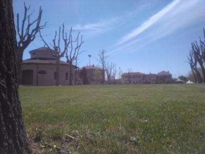 Bounous Luca - Lavori di Giardinaggio  - Foto 2