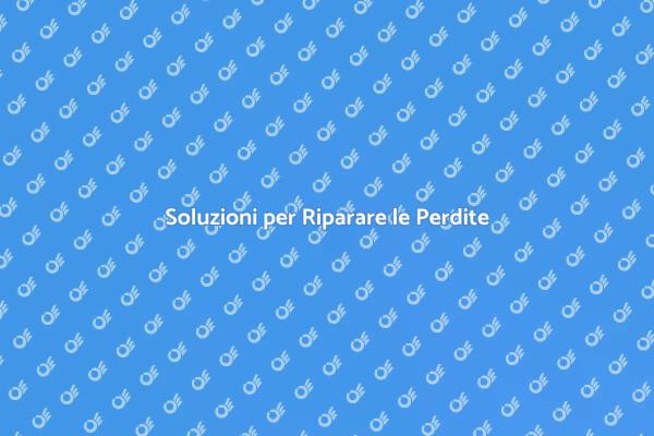 Guida alla Riparazione delle Perdite