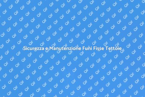 Manutenzione Funi Fisse Tettoie Sicurezza