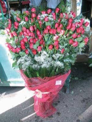 Il Fiore del Desiderio di Milo  - Foto 2