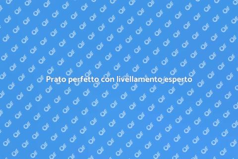 Livellamento professionale del prato