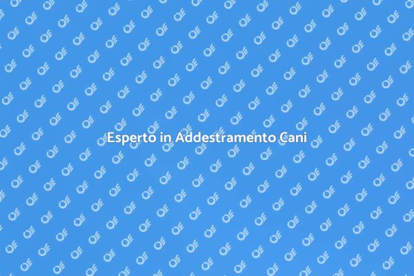 Migliora il Comportamento del Tuo Cane