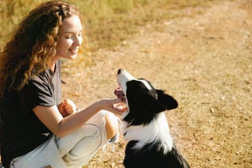 Dog sitter si o no? Ecco perché è importante per il tuo cane