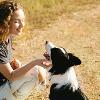 Dog sitter si o no? Ecco perché è importante per il tuo cane