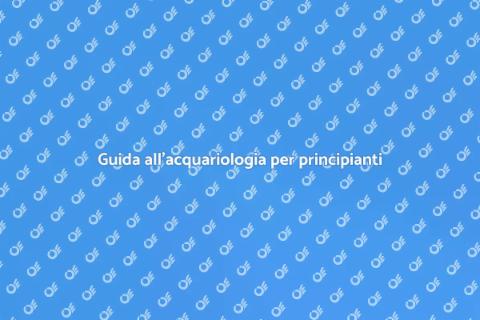 Acquariologia: crea il tuo ecosistema