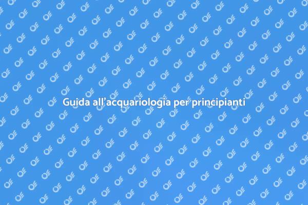 La tua guida all'acquariologia