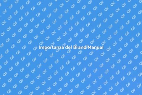 Brand Manual: Guida al Successo