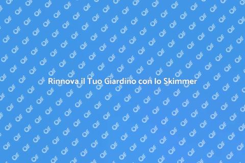 Trasformazione Skimmer: Rinnova il Tuo Spazio