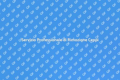 Rimozione Ceppi di Alberi nel Giardino