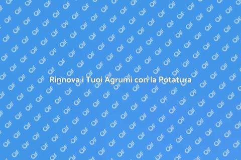Potatura di Rinnovo Agrumi Efficace