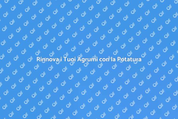 Potatura Agrumi: Segreti per Alberi Forti