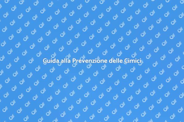 Come Evitare Cimici Durante il Trasloco