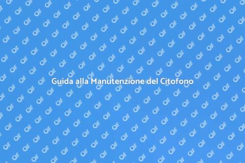 Manutenzione Citofono Wireless: Guida