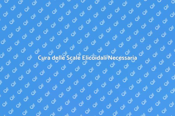 Scale Elicoidali: Manutenzione Fondamentale
