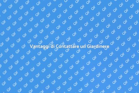 Contattare un Giardinere Professionista