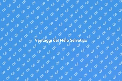 Acquistare un Melo Selvatico