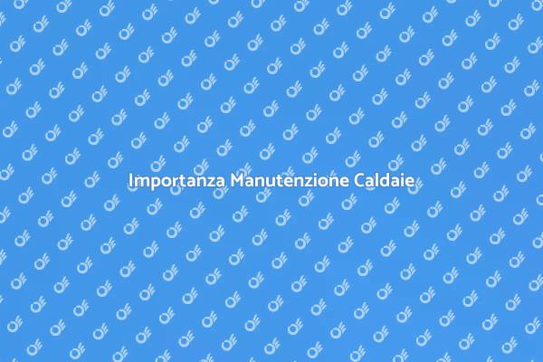 Manutenzione Annuale Caldaie Essenziale