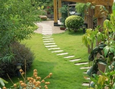 Tecnogreen  - Foto 1