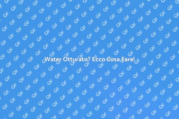 Disostruzione Water: Perché Scegliere Esperti