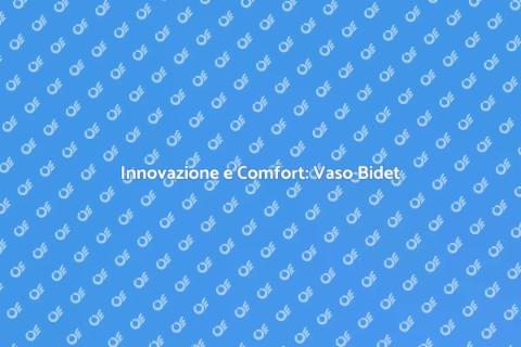 Vaso Bidet Termoidraulico: Comfort e Design