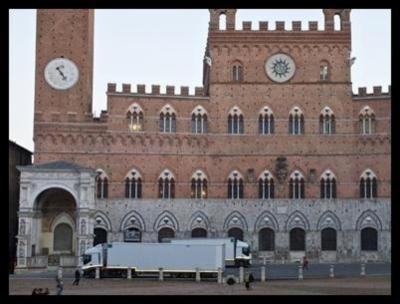 Disinfestazioni Toscane  - Foto 3