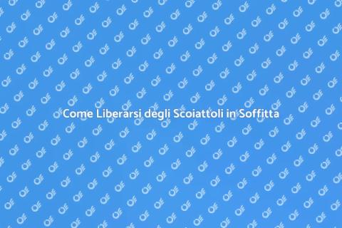 Rimuovere Scoiattoli dalla Soffitta